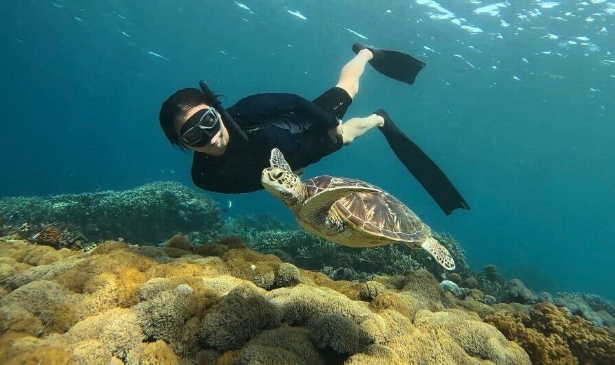 Freediving alongside a green sea turtle over a coral reef